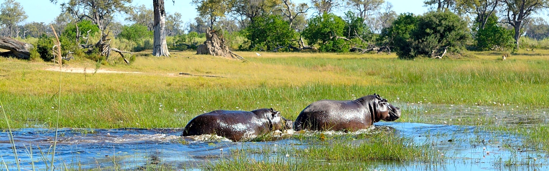 Okavango Delta