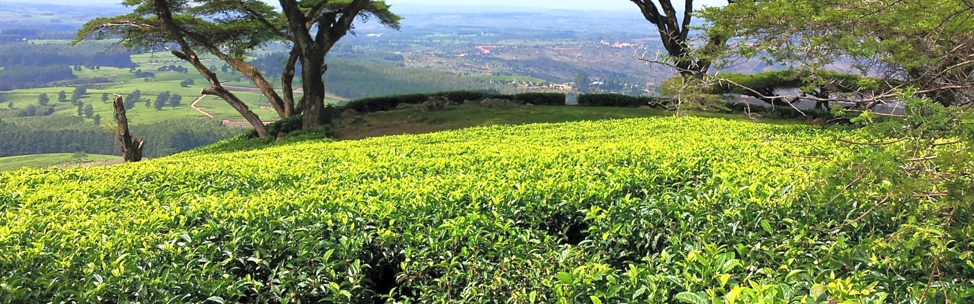 Malawi