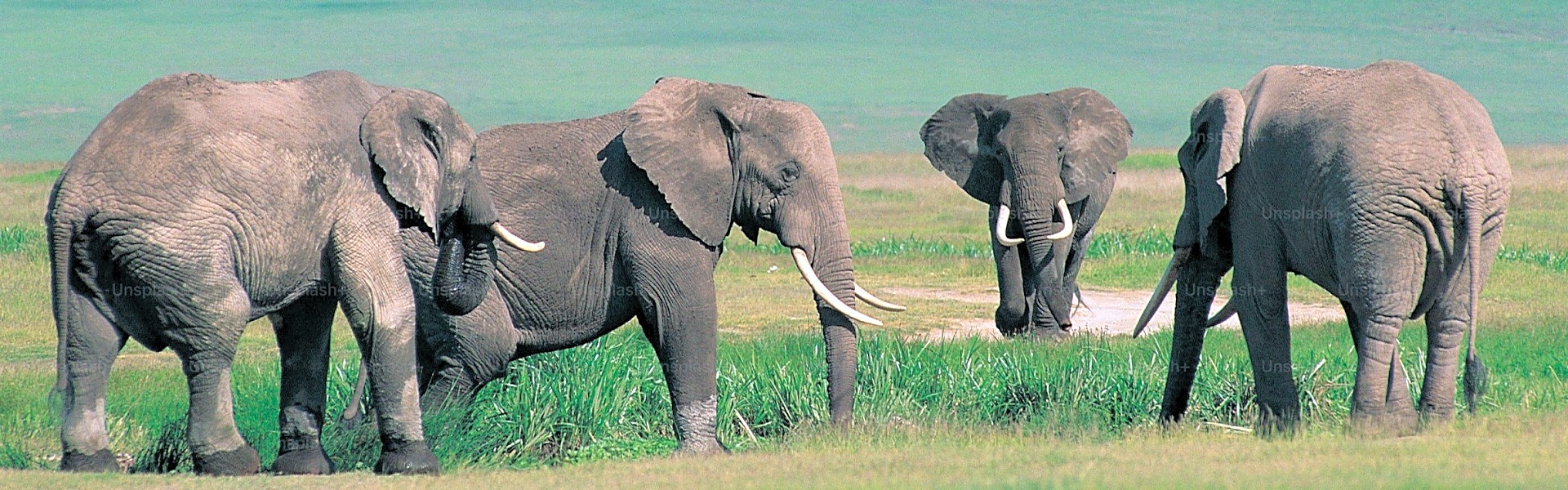 Tanzania