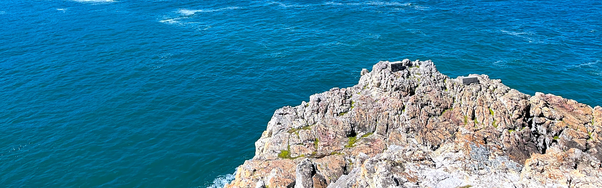 Whale Coast