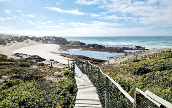 The Whale Trail (De Hoop)