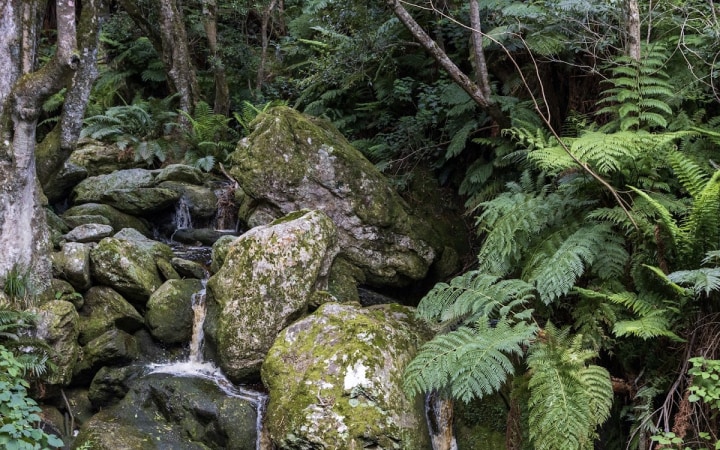 Marloth Nature Reserve