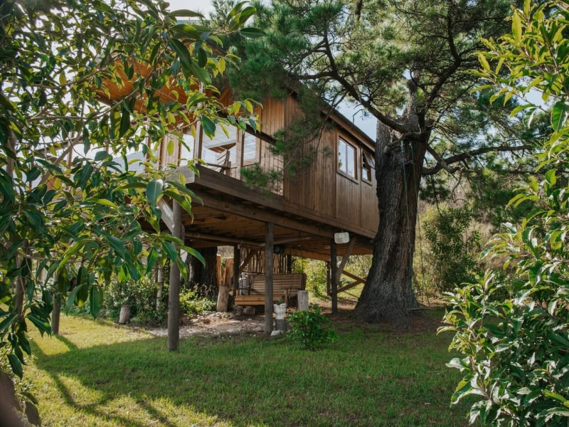 The Ecotreehouse - Foto 2