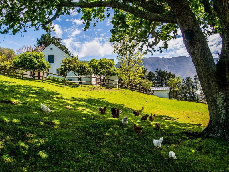 High Season Farm Cottages