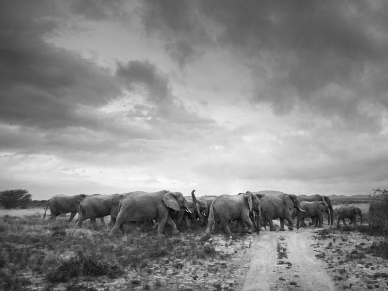 Rhino Sands Safari Camp