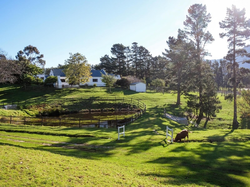 High Season Farm Cottages
