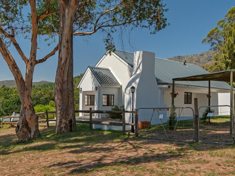 High Season Farm Cottages