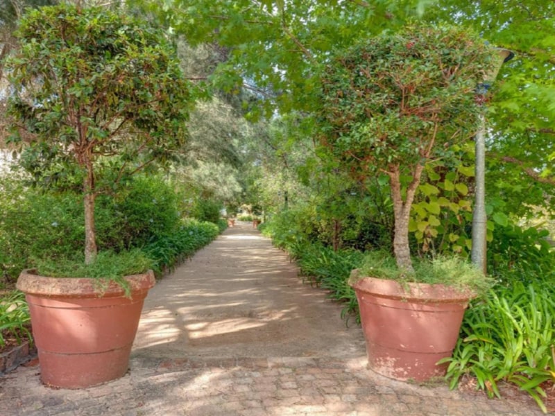Blue Gum Country Estate