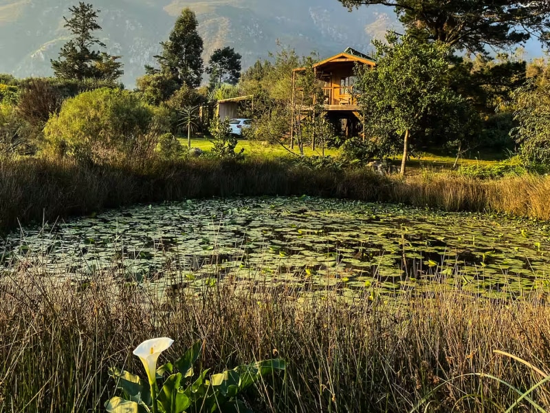 The Ecotreehouse - Photo 8