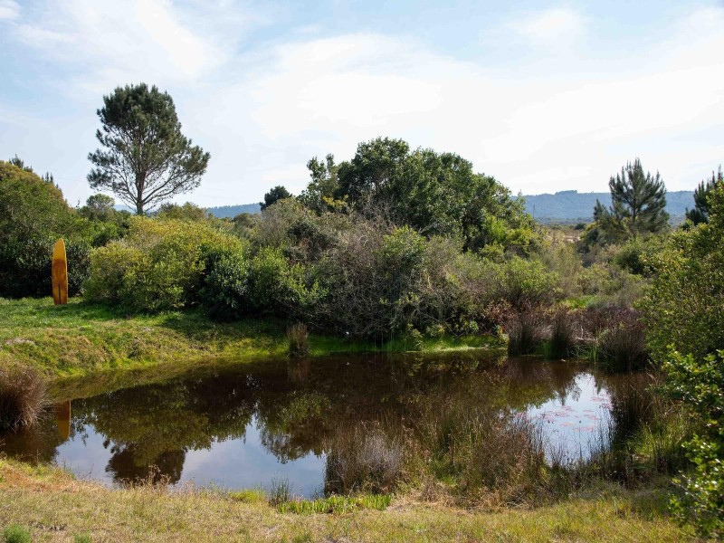 Musango Safari Camp