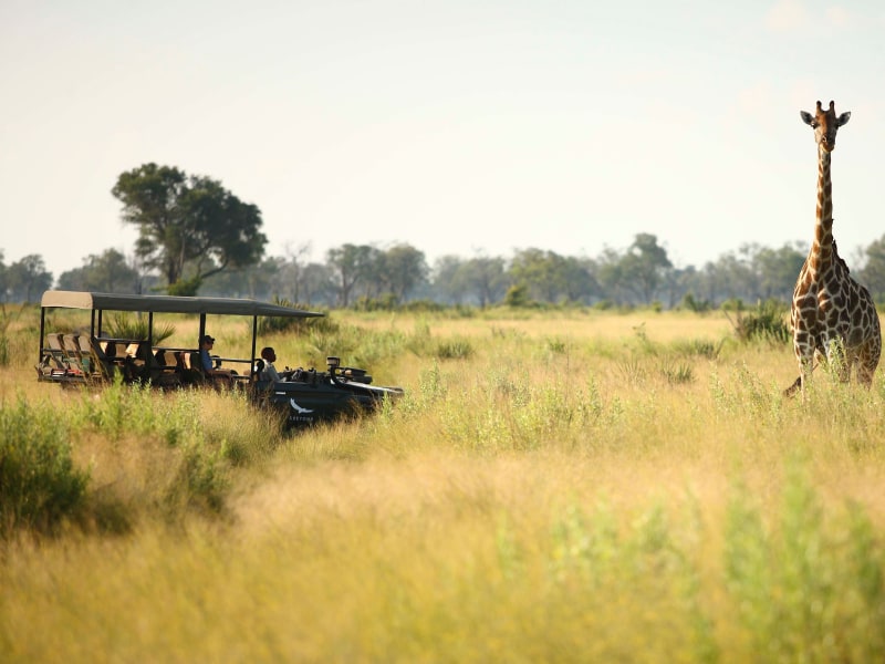 &Beyond Nxabega Okavango Tented Camp