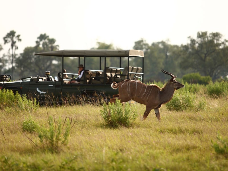 &Beyond Nxabega Okavango Tented Camp