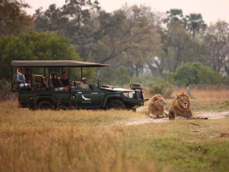 &Beyond Sandibe Okavango Safari Lodge