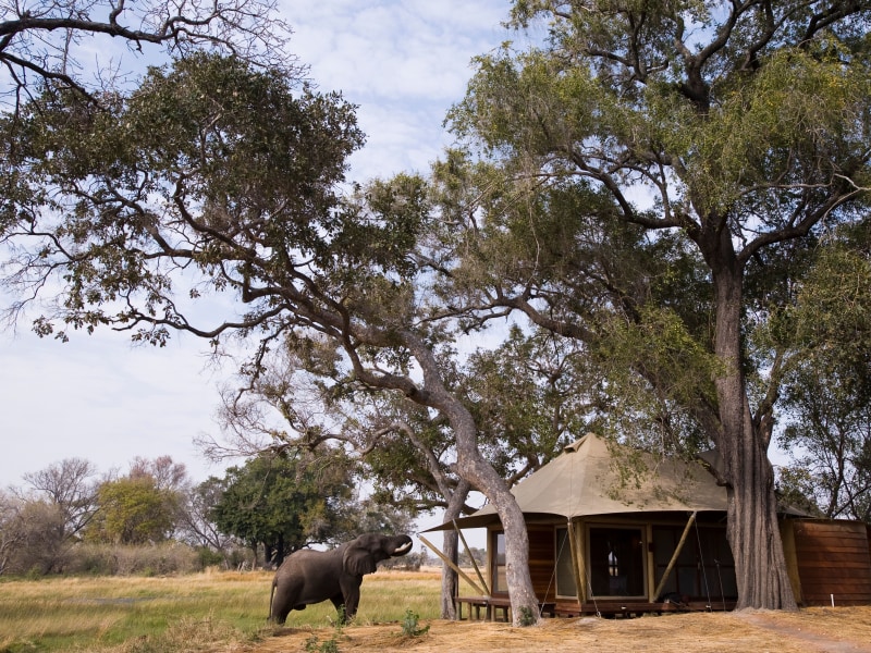 &Beyond Xaranna Okavango Delta Camp