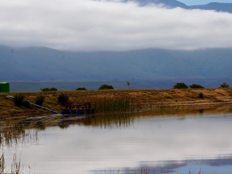 Kwetu Guest Farm