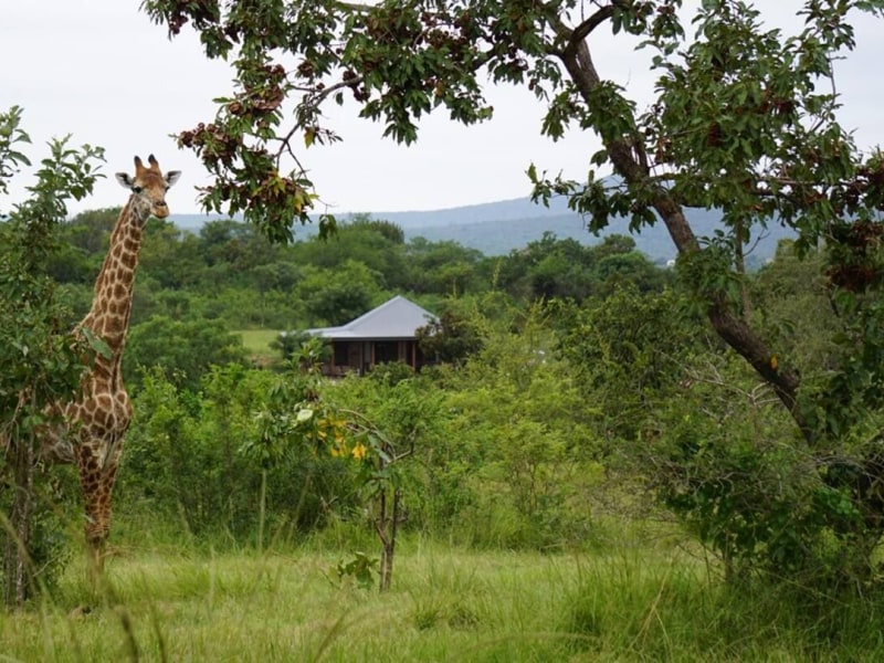 2-Bedroom Safari Lodge - Foto 5