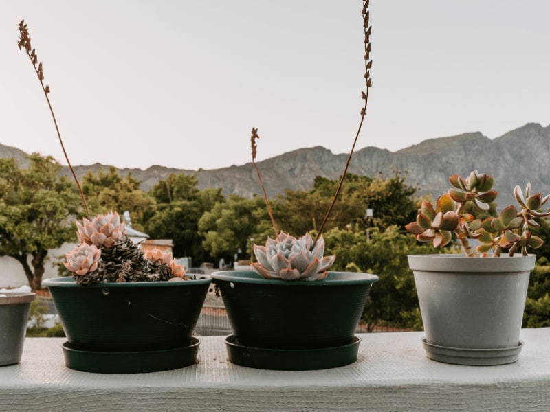Franschhoek Boutique Hotel