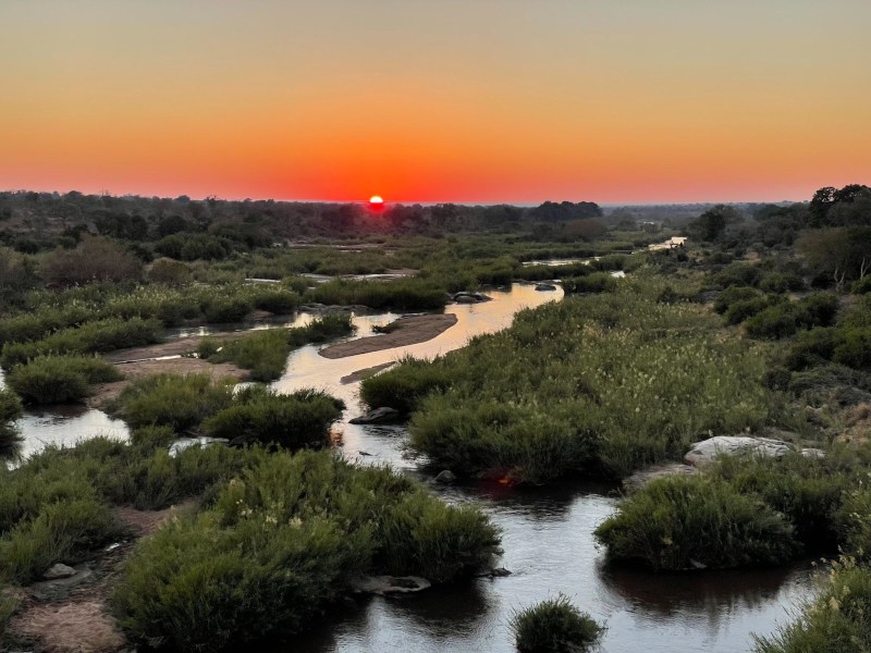 Kruger Shalati: The Train on the Bridge