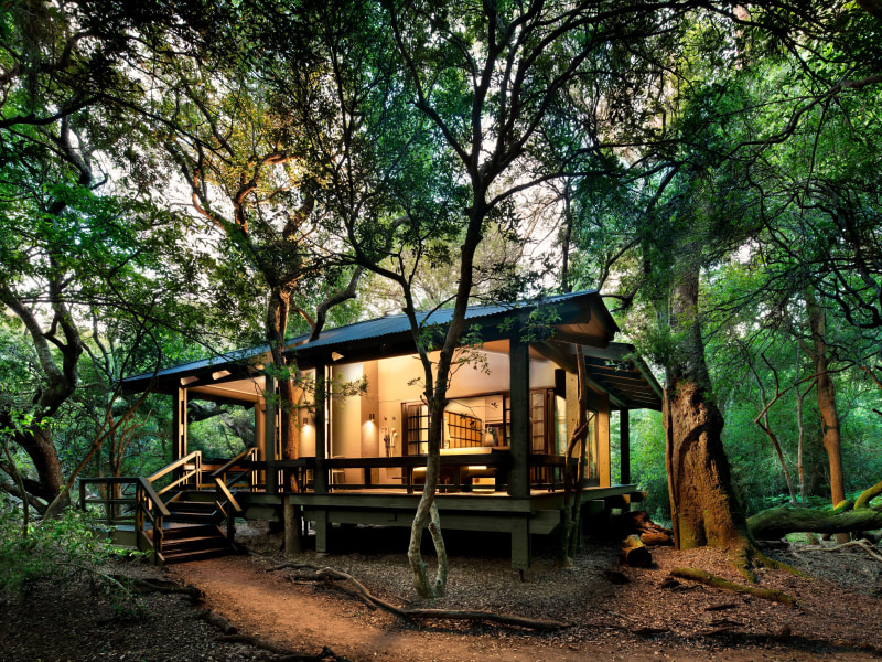 Family Forest Suite - Photo 4
