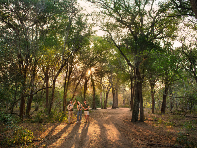 &Beyond Phinda Vlei Lodge