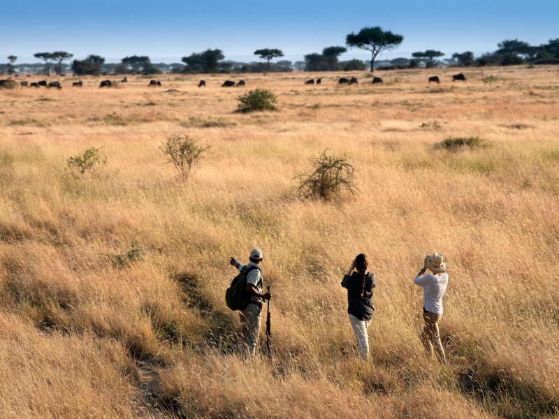 &Beyond Grumeti Serengeti River Lodge