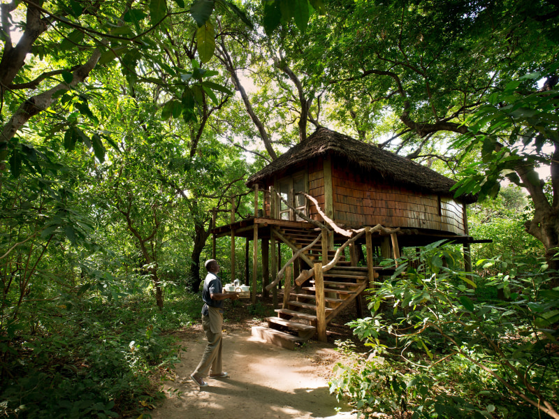 Family Treehouse Suite - Photo 2
