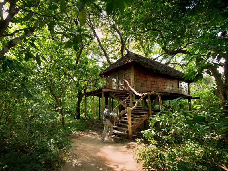 Family Treehouse Suite - Photo 3