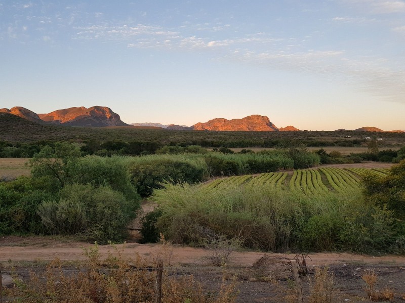 Thabile Lodge