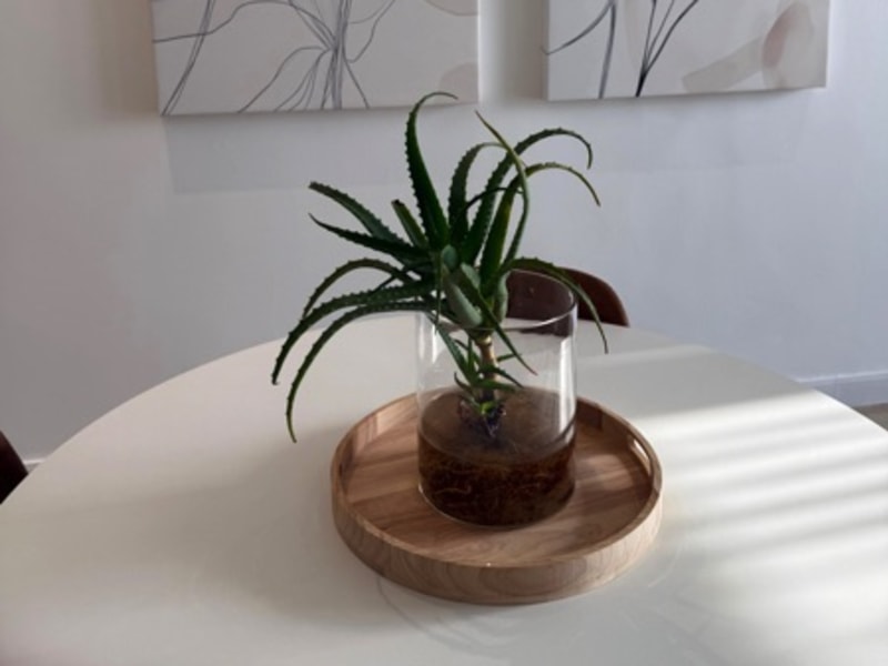 32 Napier Street - Dining area