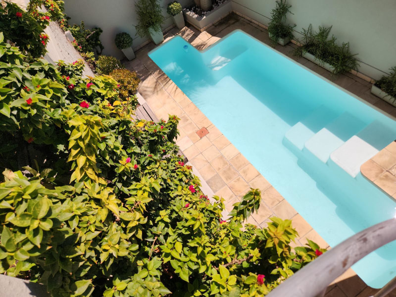 40 Napier Street - pool & terrace