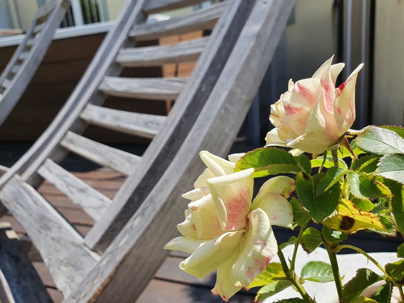 70 Loader Street - Hot tub deck