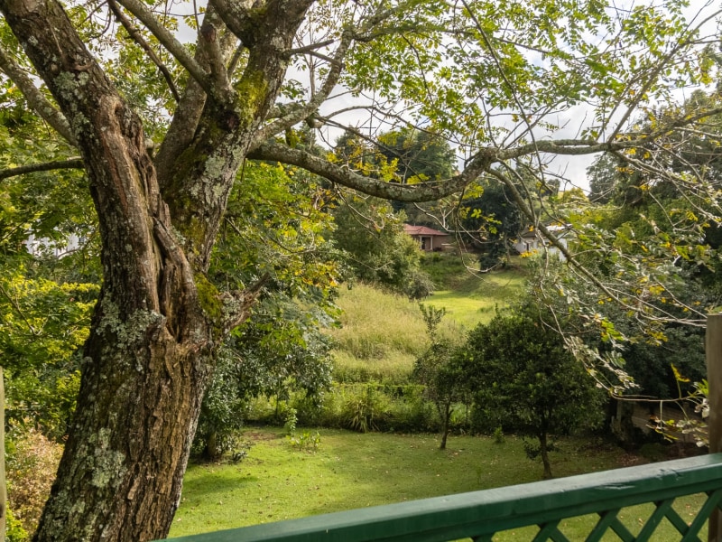 Howick Cottage--21