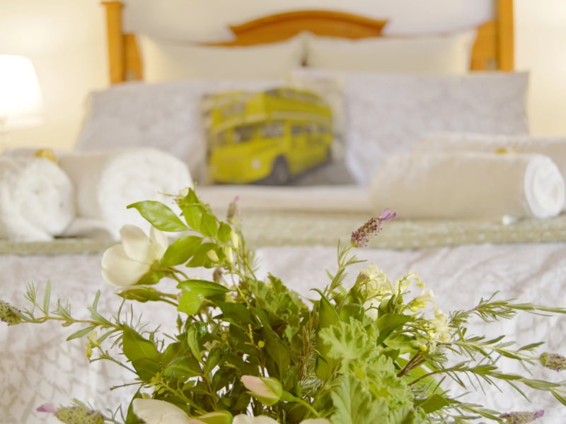 Blou Porselein Guest Farm