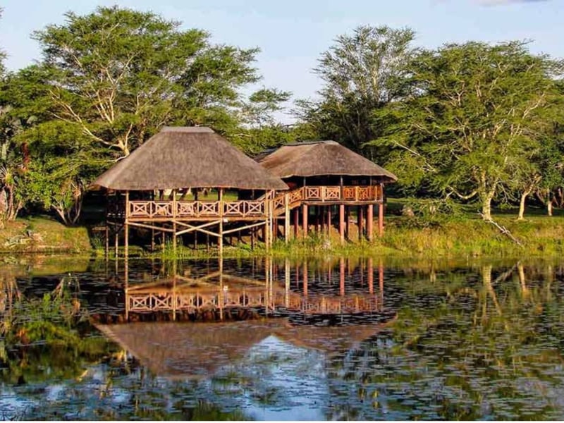 Bonamanzi Game Reserve