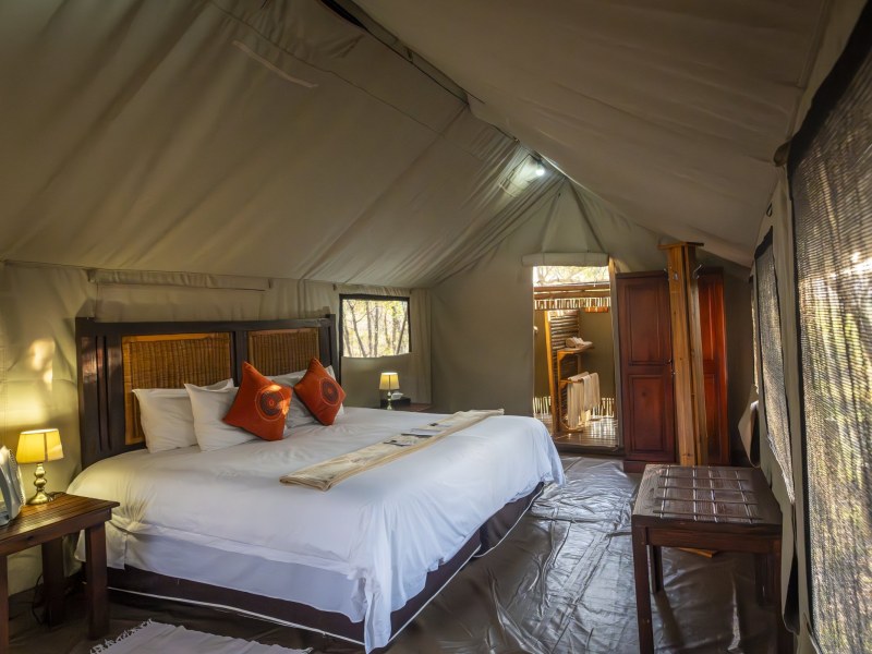 Safari Tent at Buffalo Rock Tented Camp