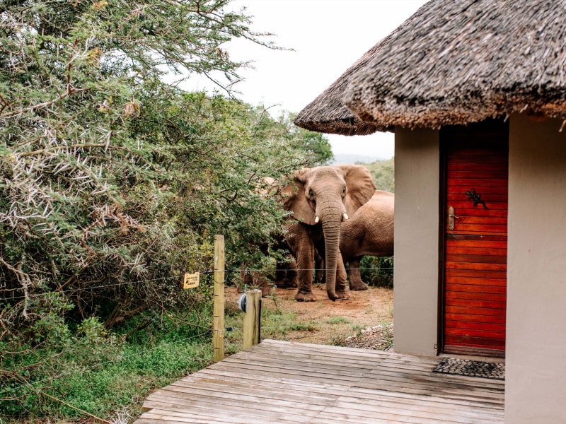 Bukela Game Lodge