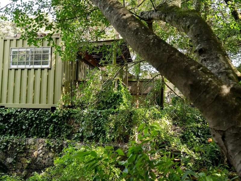 Forest Pods - Photo 5
