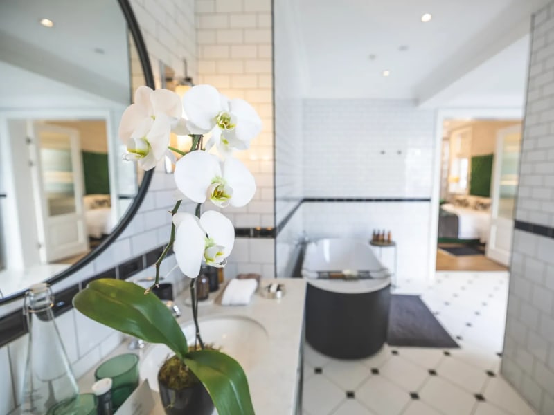 Superior Luxury Room bathroom, Cape Cadogan Boutique Hotel