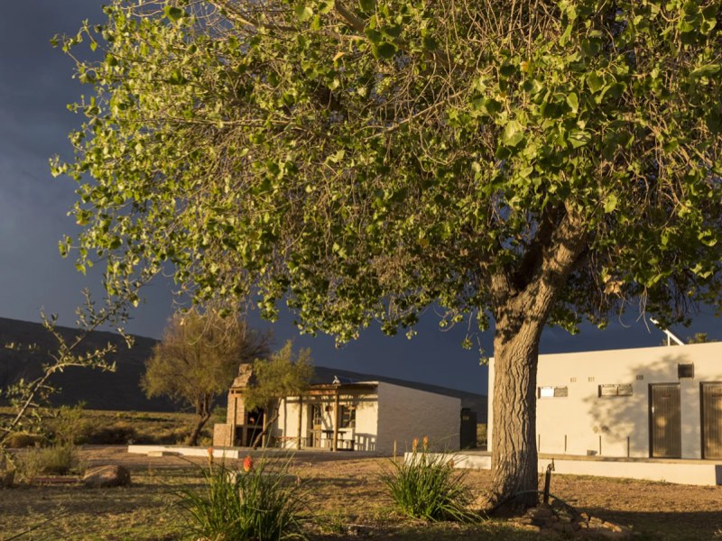 Seps Cottage