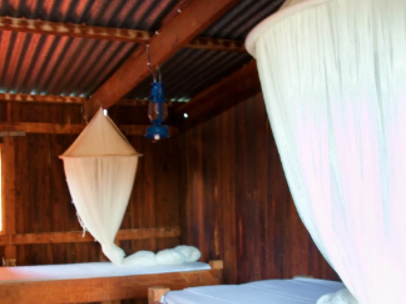 Stable Rooms