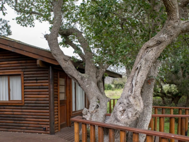 Buffalo Valley Vlei Lodge