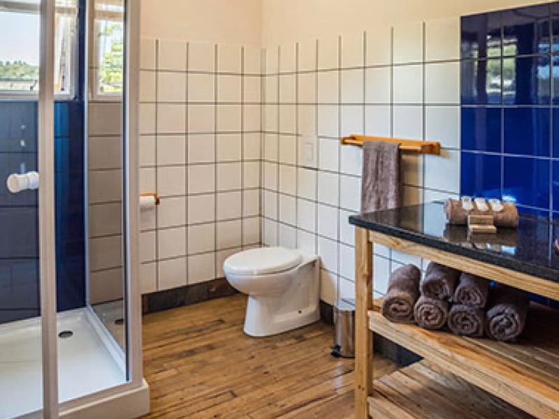 Grootvadersbosch Cabins