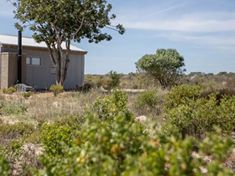 Flamingo Cottage