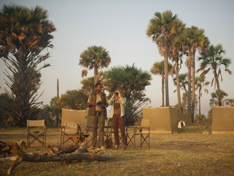 A safari guide and a guest with binoculars standing in a tented camp surrounded by palm trees at sunset.
