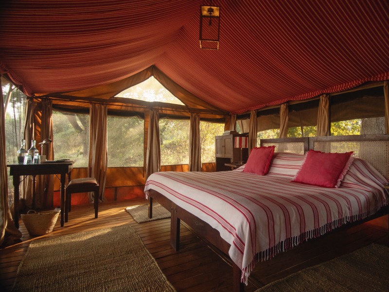 A luxurious safari tent interior featuring a large bed with red and white striped bedding and pink pillows, illuminated by warm golden sunlight.