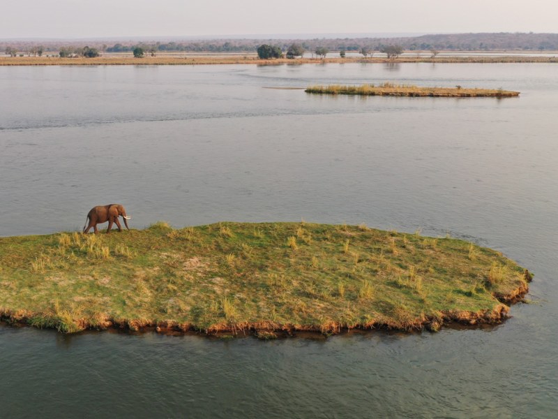 - photo credit Chiawa Safaris