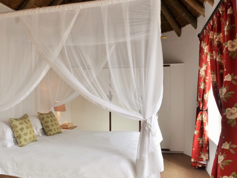 Otter Suite - Photo 2