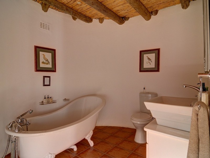 Otter Suite - Photo 5