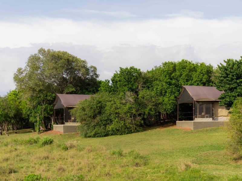 Entim Main Camp
