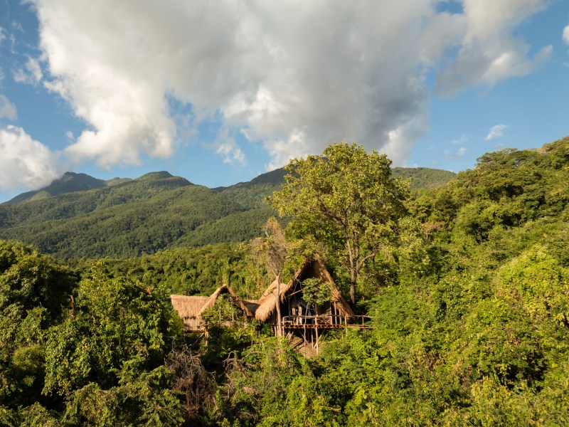 A rustic thatched-roof lodge nestled deep within a lush green jungle, with rolling mountains and a cloudy blue sky in the background.